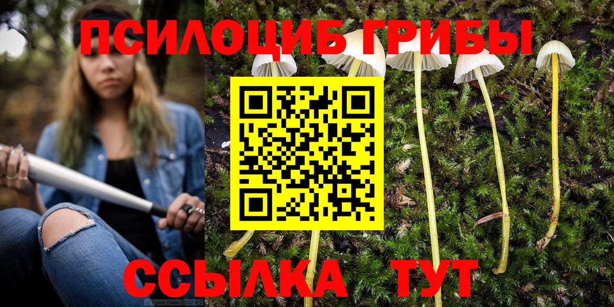 Галлюциногенные грибы MAGIC MUSHROOMS Зеленогорск